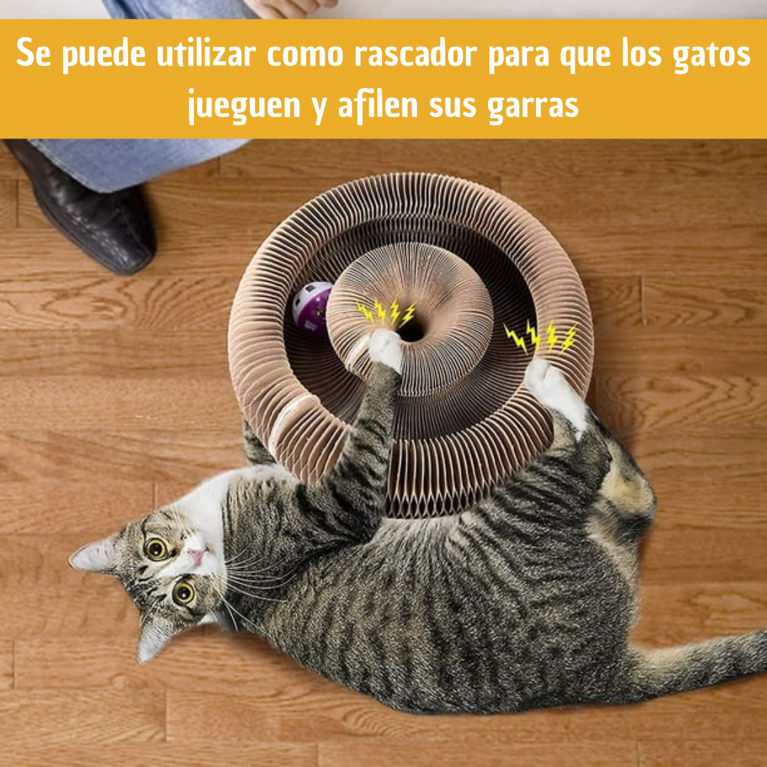 Rascador para gatos con órgano mágico